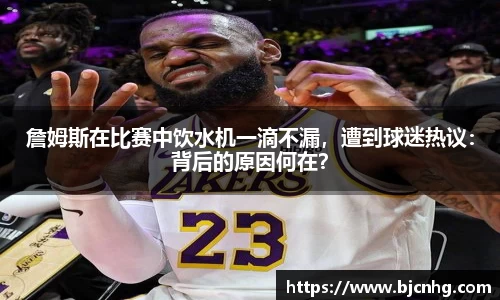 半岛bob·官方网站
