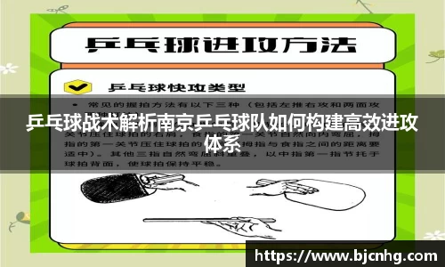 乒乓球战术解析南京乒乓球队如何构建高效进攻体系