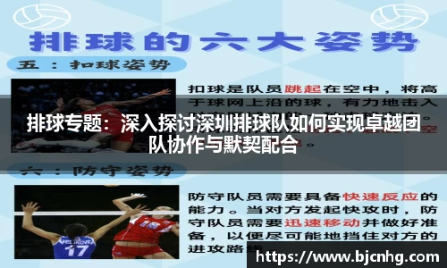 排球专题：深入探讨深圳排球队如何实现卓越团队协作与默契配合