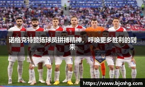 BoB半岛·体育中国官方网站