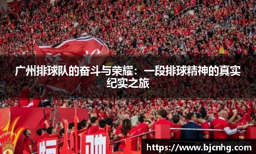 半岛bob·官方