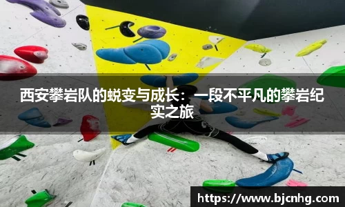半岛bob·官方