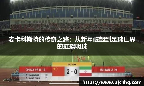 BoB半岛·体育中国官方网站