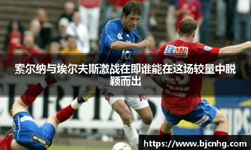 BoB半岛·体育中国官方网站