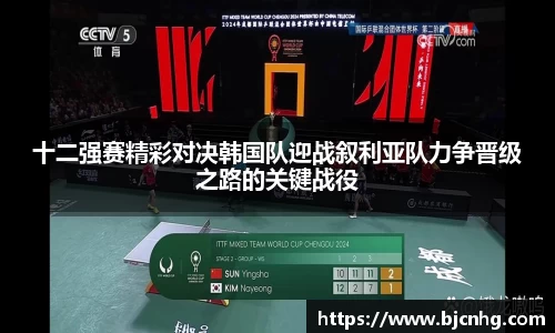 BoB半岛·体育中国官方网站