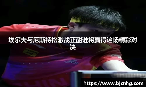 半岛·BOB官方网站