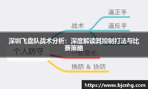 深圳飞盘队战术分析：深度解读其控制打法与比赛策略